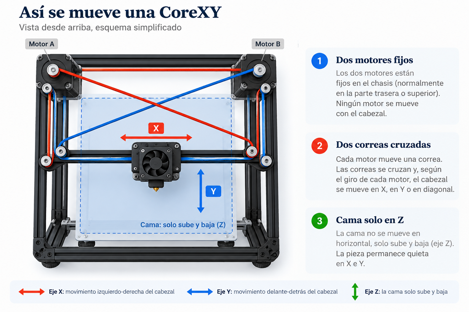 Vista superior simplificada de una CoreXY: dos motores fijos en las esquinas traseras, dos correas que se cruzan y mueven el cabezal en X e Y, y la cama que solo sube y baja